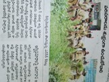 WhatsApp Image 2020-05-12 at 5.14.10 PM (1)